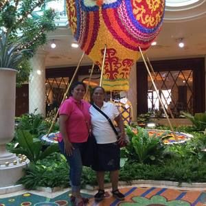 Meet your Posher, Dinora